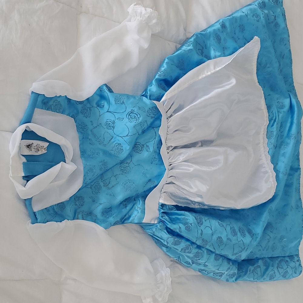 Disney's Belle costume